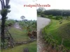 ที่ดินพร้อมบ้าน 2 หลัง 2 ไร่ มีสวนไร่นาผสม ตตะพง อเมือง จระยอง