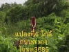 ขายที่ดินสวย คลอง9