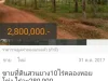 ขายที่ดินสวนยาง10ไร่คลองหอยโข่งไร่ละ280000