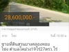 ขายที่ดินสวนยางคลองหอยโข่ง ตำบลโคม่วง19ไร่27ตรวไร่ละ15ล้าน