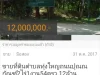 ขายที่ดินตำบลทุ่งใหญถนนปุณณกัณฑ์2ไร่1งาน54ตรว12ล้าน