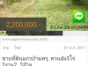 ขายที่ดินแถวบ้านพรุ ควนลัง3ไร่ 2งาน2 2ล้าน