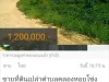 ขายที่ดินเปล่า3ไร่1งานตำบลคลองหอยโข่งขายไร่ละ400000