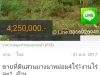 ขายที่ดินสวนยางนาหม่อม4ไร่1งานไร่ละ1 ล้าน