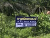 land for sale 15-1-90 Rai ขายที่ดินเนื้อที่15ไร่1งาน90ตารางวา ใกล้หาดคึกคัก