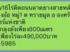 ที่ดิน16ไร่ติดถนยลาดยางสายหลักใก้ลร้านลุงยังปลาเผาลูกลุงยังแก้วกลางดง