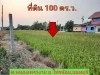 ขายที่ดินสร้างบ้านสวน 100 ตารางวา ติดถนนลาดยาง ตำบล หนองเพรางาย อำเภอไทรน้อย นนทบุรี