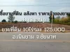 ขายที่ดิน 10ไร่ เนินขาม ชัยนาท เหมาะสำหรับทำพืชไร่