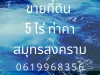 ขายที่ดิน 5 ไร่ ท่าคา สมุทรสงคราม