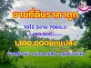 ที่ดินเปล่า เหมาะทำเป็นบ้านสวน ติดริมห้วย ห่างจากถนนชยางกูร 150เมตร