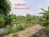 ขายที่ดิน 2-1-439 ไร่ ถนนบางแวก บางไผ่ บางแค