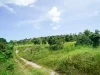 ที่ดินเกาะสมุย ใกล้หาดเชิงมนต์ อ เกาะสมุย