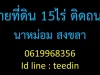 ขายด่วนๆ ขายที่ดิน 15 ไร่ สงขลา นาหม่อม ติดถนน ทำเลดี 0619968356