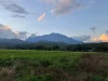 ขายที่ดินบ้านแม่นะ เชียงดาว วิวดอยหลวง โฉนด