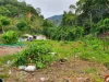 For Sales Land Kathu Near Patong 70 SQW