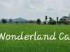 ขายกิจการ Wonderland cafe