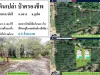 ขายที่ดินสวนยาง 1-1-436ไร่ บ้านป่าครองชีพ มีลำธารน้ำใสหลังแปลงที่ดิน ผังสีเขียว