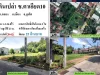 ขายที่ดินเปล่า 1-2-248ไร่ ซตาเอียด10 ผังเหลือง สร้างสูงได้ 23 ม