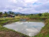 ขายที่ดินมีบ่อน้ำ ติดถนน วิวดอยหลวง เชียงดาว โฉนด