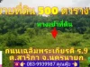 ขายที่ดิน 500 ตารางวา ติดถนนเฉลิมพระเกียรติ ร9 ตสาริกา อเมือง จนครนายก