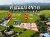 ขายที่ดิน 579 ตรว ไฟฟ้าประปาพร้อมสร้างบ้าน