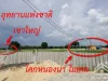 ขายที่ดิน วิหารแดง วิวเขาใหญ่ อากาศดี