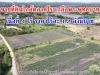 ขายที่ดินใกล้ตลาดโรงเกลือพระพุทธบาท เยื้องวัดนายาว ตนายาว อพระพุทธบาท จสระบุรี เนื้อที่ 4 ไร่ ราคาไร่ละ 1200000 บาท