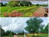 ขายที่ดินเหมาะสร้างบ้านชาญเมืองอำนาจเจริญ แปลงเล็กน่ารัก 100 ตรว