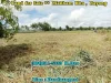 Land for Sale Makham Khu Rayong Beautiful Rectangular Size