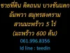 ขายที่ดิน ติดถนน บางขันแตกอัมพวา สมุทรสงครามสวนมะพร้าว 5 ไร่ มะพร้าว 600 ต้น 0619968356