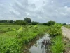 ขายที่สวนบ้านแม สันป่าตอง ติดถนนพร้อมโอน