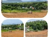 For Sale One of the best plot for Seaview Land remaining in Rawai Phuket1 Rai 43 Tarangwah