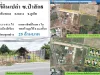 ขายที่ดินสวนสับปะรด 2-1-571ไร่ ซป่าสัก8 ผังสีเขียว