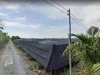 For sale land ทวีวัฒนา กรุงเทพ 4-1-310 ไร่ 2077 ล้าน