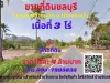 ขายที่ดินชลบุรี 3ไร่ ทำเลทองใกล้หาดบางแสน ใกล้มอเตอร์เวย์สาย 7 ชลบุรี-พัทยา ตหนองข้างคอก อเมืองชลบุรี