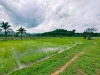 ขายที่สวนสะลวงแม่ริม วิวภูเขา ติดลำเหมืองโฉนด