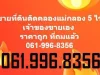 ขายที่ดิน 5 ไร่ ติดคลองแม่กลอง ถนน ลาดยางดำ 0619968356