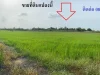 ขายที่ดินสวย เป็นที่นา หนองจอก คลองสิบ