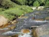 ขายที่ดินดอยสะเก็ตติดถนนติดแม่น้ำกวงคั่น โฉนดพร้อมโอน