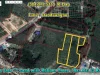 Land with Rubber Trees For Sale Ban Kai Rayong Sales Price 550000 Baht