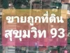 ขายที่ดินถูกที่สุด สวย 102 วา สุขุมวิท 93