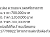 ขายที่ดิน 3 โฉนด จนครศรีธรรมราช