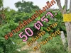 ขายที่ดิน50ตรวแปลงมุม เหมาะสร้างบ้าน ติดถนน คอนกรีต2ด้านในซอยกว้าง5ม