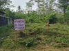 ขายที่ดินสร้างบ้านเขตเทศบาลเมืองเลย