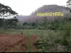 ขายที่ดินสุเทพ ไกล้คำหมอกหลวง เห็นดอยสุเทพ ราคาถูก