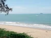 ขายที่ดินติดชายหาดทะเล แม่พิมพ์ เหมาะทำอาคารชุดหรือโรงแรม