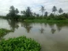 ขายที่ดินติดคลองพระอุดม ใกล้มหาวิทยาลัยหอการค้า ปากเกร็ด นนทบุรี