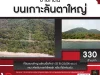 ขายที่ดินบนเกาะลันตาใหญ่ ขนาดใหญ่ พร้อมพื้นที่กว่า 55 ไร่ มีความอุดมสมบูรณ์มาก