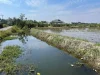 สำหรับท่านที่ตามหาพื้นที่โซนสันผักหวานน่าลงทุน ทำบ้านสวนหรือแบ่งแปลงดินขายแปลงย่อยได้ ชุมชนน่าอยู่ ดินน้ำอุดมสมบูรณ์