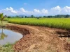 ขายที่นาติดลำเหมืองตลาดใหญ่ดอยสะเก็ตพร้อมโอนราคาถูก